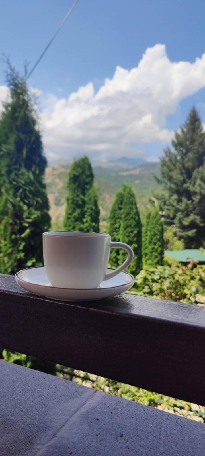 Sunny Lodge Dilijan Εξωτερικό φωτογραφία