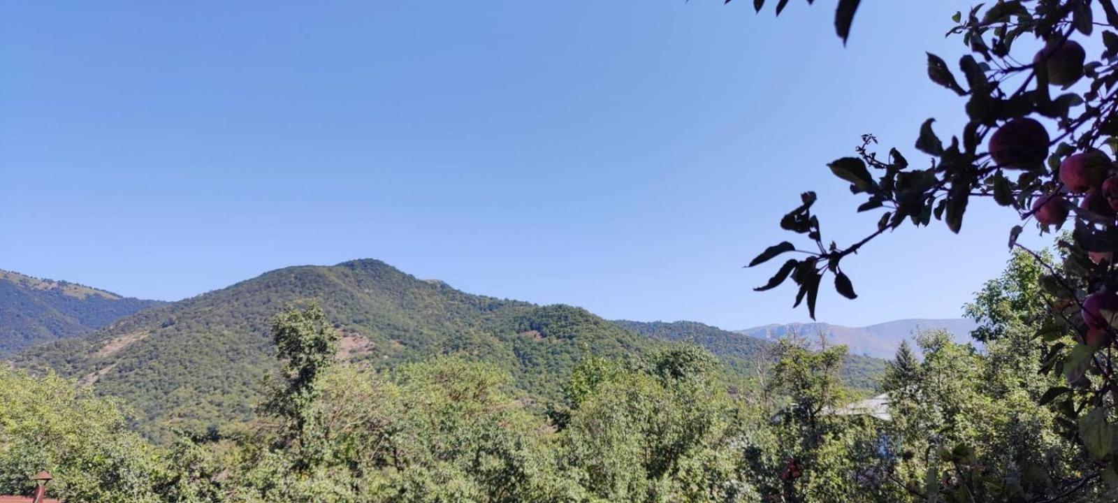Sunny Lodge Dilijan Εξωτερικό φωτογραφία
