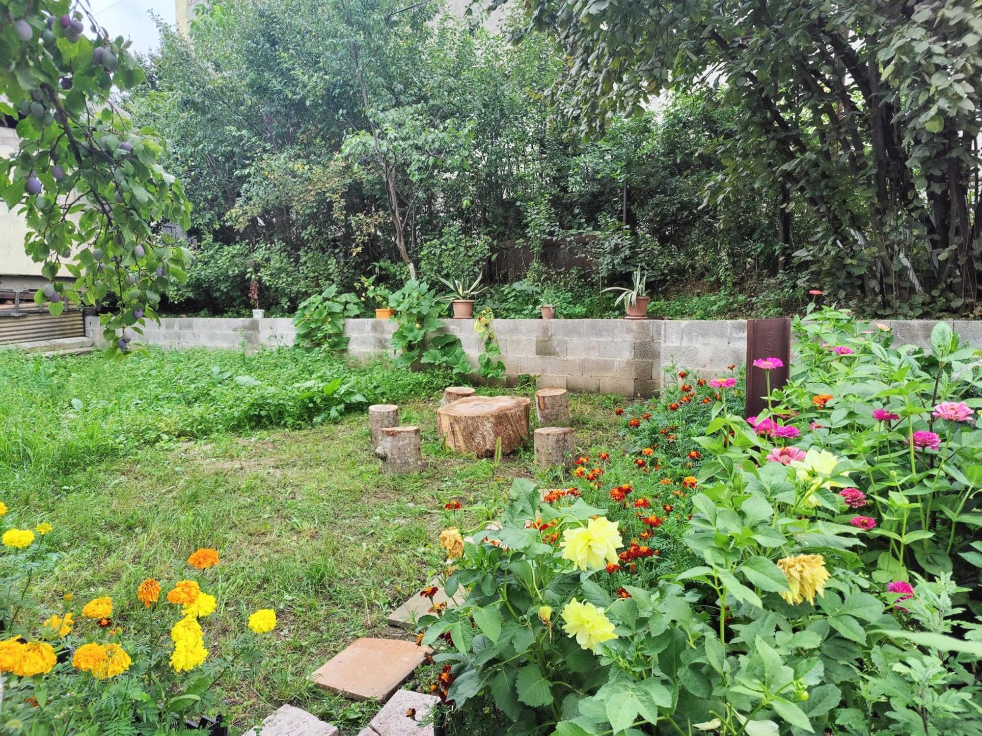 Sunny Lodge Dilijan Εξωτερικό φωτογραφία
